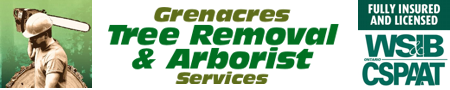 tree-removal-services-cambridge-guelph